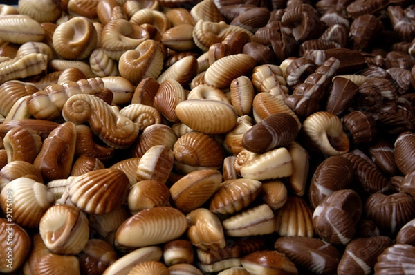 Obraz shell shellfish chocolate truffle