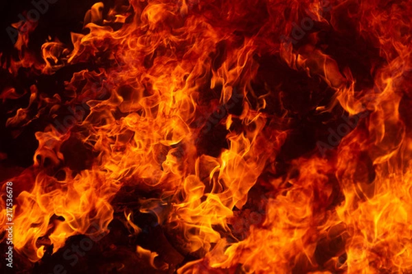 Obraz blaze fire flame texture background