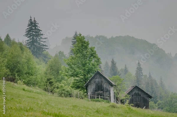 Fototapeta Wooden barn located on the slope of the hill, covered with forest and meadows. Ecology concept of clean environment. Natural background. Taken at misty spring day at Carpathian mountains, Ukraine.