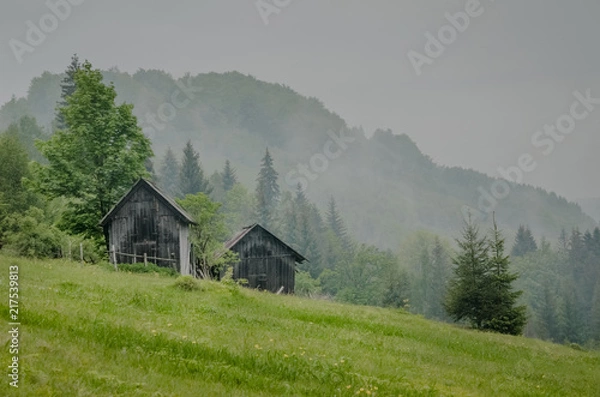 Fototapeta Wooden barn located on the slope of the hill, covered with forest and meadows. Ecology concept of clean environment. Natural background. Taken at misty spring day at Carpathian mountains, Ukraine.