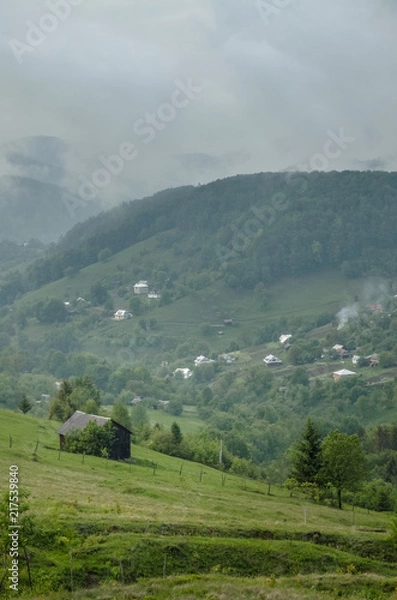 Fototapeta Wooden barn located on the slope of the hill, covered with forest and meadows. Ecology concept of clean environment. Natural background. Taken at misty spring day at Carpathian mountains, Ukraine.