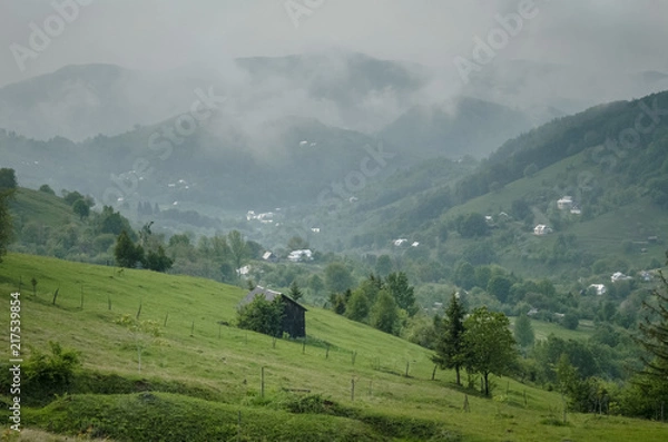 Fototapeta Wooden barn located on the slope of the hill, covered with forest and meadows. Ecology concept of clean environment. Natural background. Taken at misty spring day at Carpathian mountains, Ukraine.