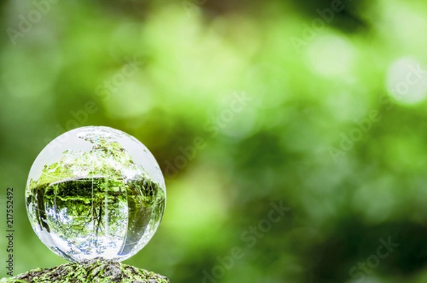 Obraz コケとガラスの地球儀