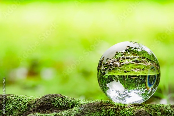 Obraz コケとガラスの地球儀