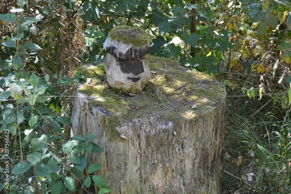 Obraz Waldspaziergang