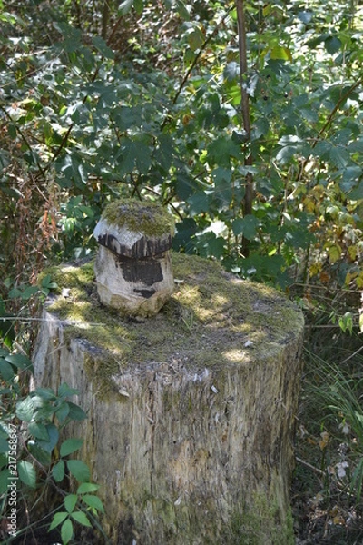 Obraz Waldspaziergang