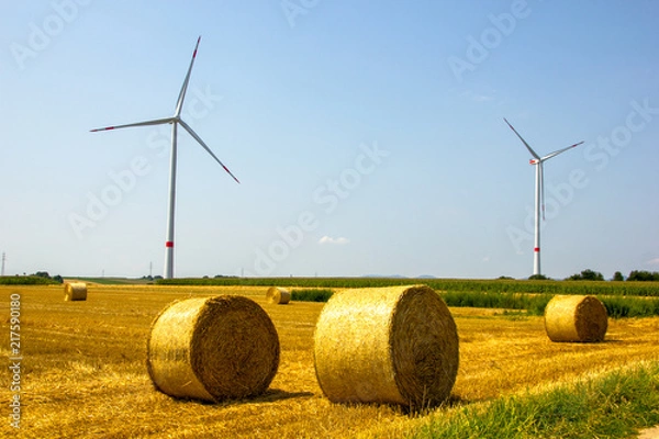 Fototapeta Wind turbines to create energy with hay field in front create a scenic view