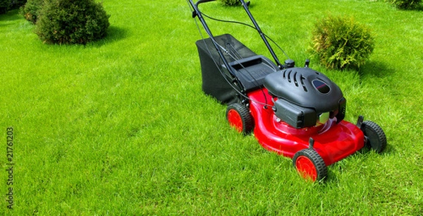 Obraz Lawn mower
