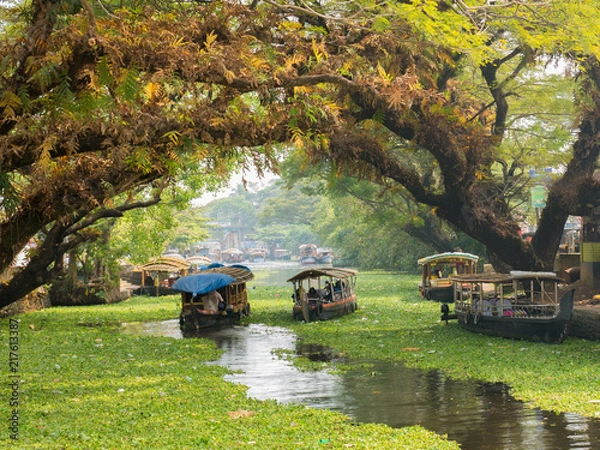 Obraz Houseboats on the backwaters of Kerala in Alappuzha (Alleppey)