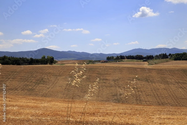 Obraz Paesaggio Toscano