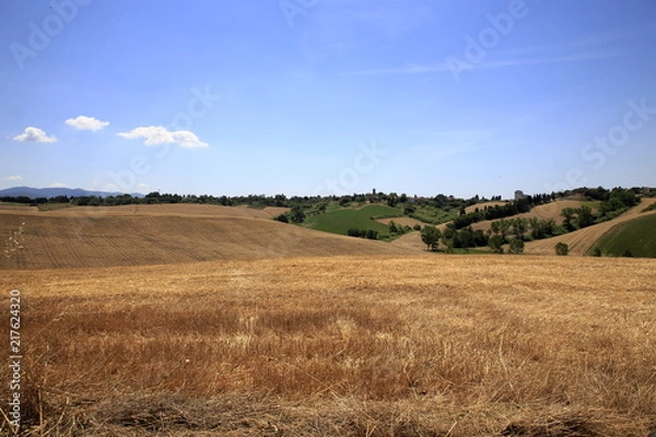 Fototapeta Paesaggio Toscano