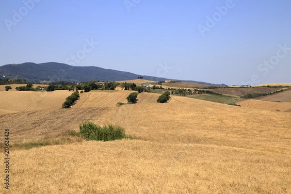 Fototapeta Paesaggio Toscano