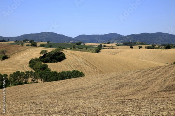 Fototapeta Paesaggio Toscano