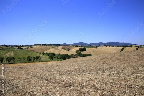 Fototapeta Paesaggio Toscano