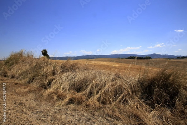 Fototapeta Paesaggio Toscano