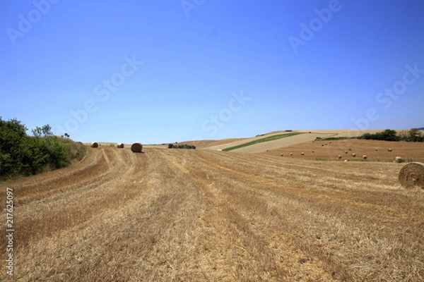 Fototapeta Paesaggio Toscano