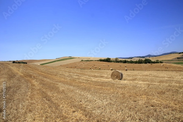 Fototapeta Paesaggio Toscano