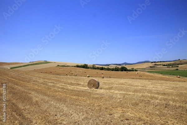 Fototapeta Paesaggio Toscano