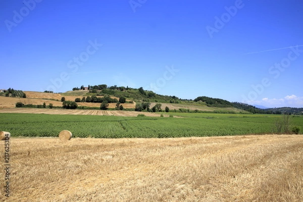 Fototapeta Paesaggio Toscano