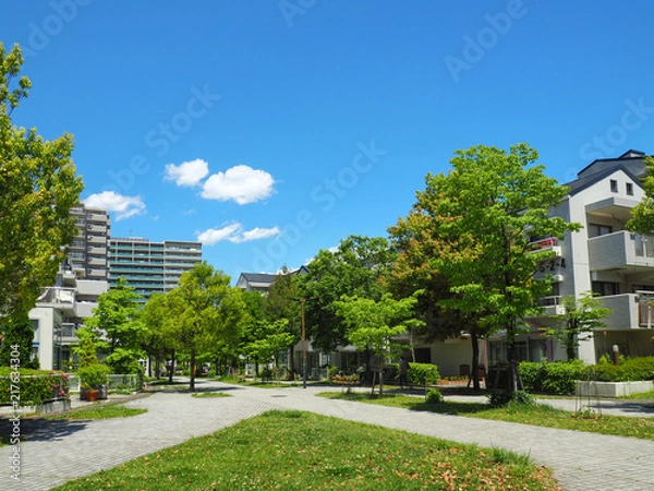 Obraz 青空と閑静な住宅街