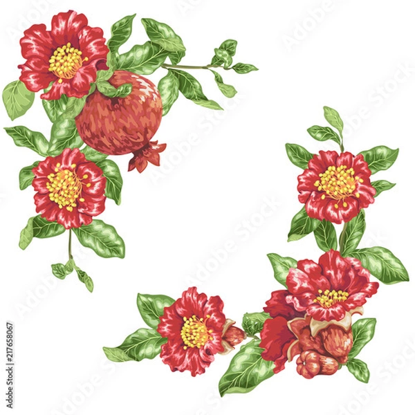 Fototapeta Template in vector illustration with pomegranate flowers