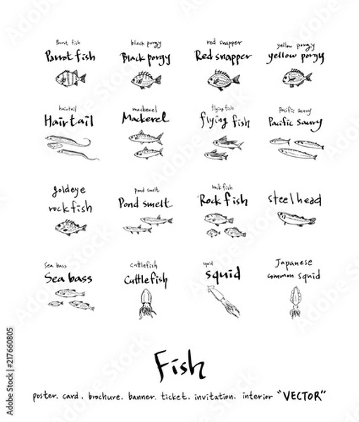 Obraz 해산물 일러스트 / 손으로 그린 수산물 그림