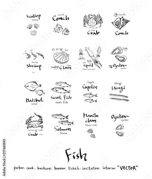 Obraz 해산물 일러스트 / 손으로 그린 수산물 그림
