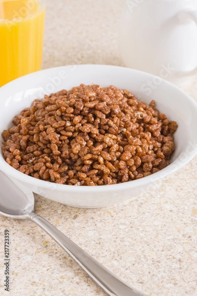 Fototapeta Chocolate flavoured crispy rice breakfast cereal 