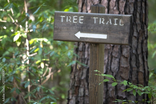 Obraz Tree Trail sign