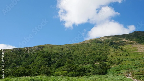 Fototapeta 伊吹山の登山道