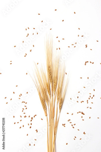 Fototapeta wheat and spikelets on a white background top view. Wheat, bread, harvest.
