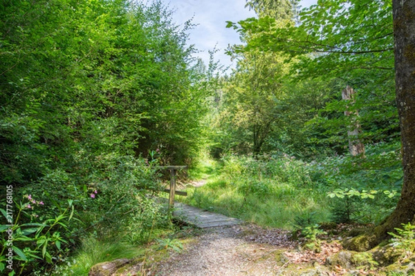 Obraz Eine einsame Brücke  im Wald bei Wermelskirchen
