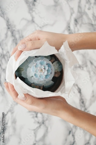 Obraz Flowers in the hands