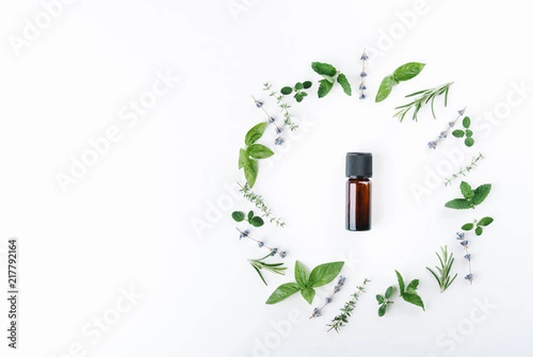 Obraz essential oils with botles and herbs on white background