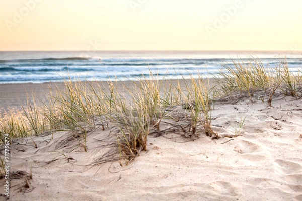 Obraz Sand Dune Grass Coolangatta