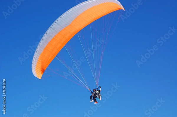 Obraz Paragliders