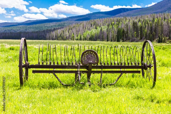 Fototapeta Meadow Field