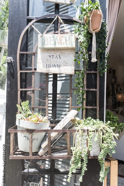 Fototapeta Hanging Planter