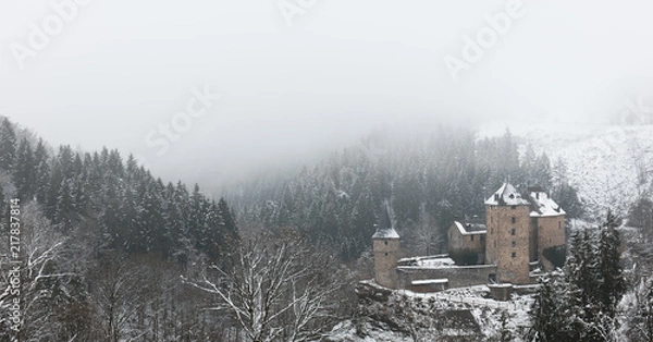 Obraz Old Castle in snow and fog