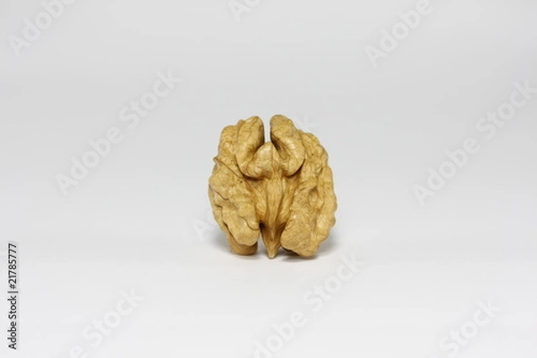 Obraz Shelled Walnut