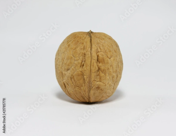 Obraz Walnut