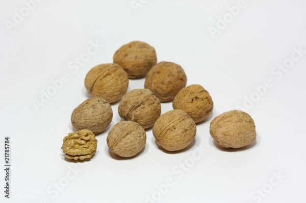 Obraz Walnuts