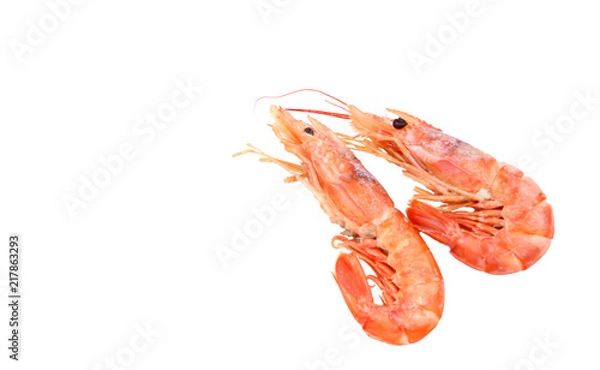 Obraz Frozen shrimps on white background.