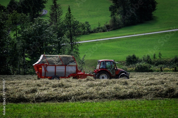 Fototapeta Traktor auf dem Feld bei der Heuernte  