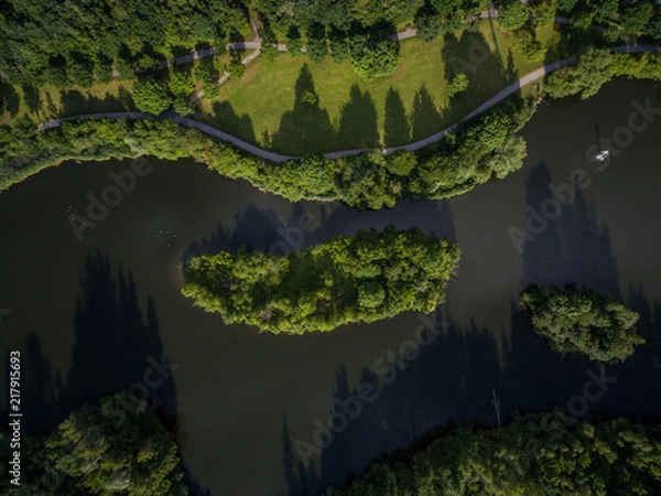 Obraz water and wood