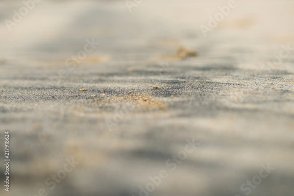 Obraz Lines in the sand