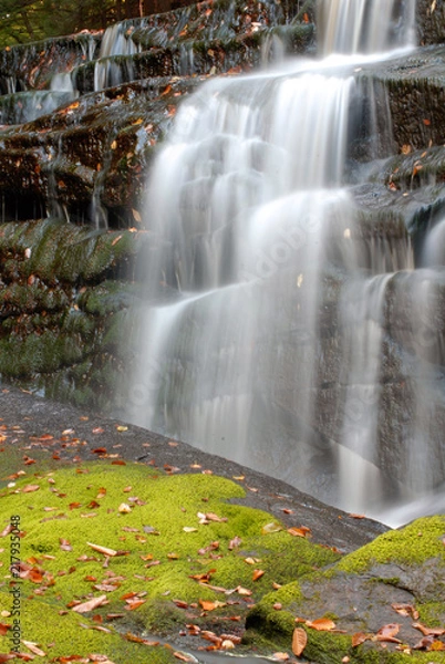 Fototapeta silky falls