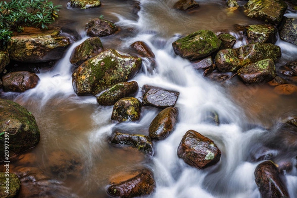 Obraz Long exposure scene of flowing water with white wave through rock river from waterfall in tropical rainforest.