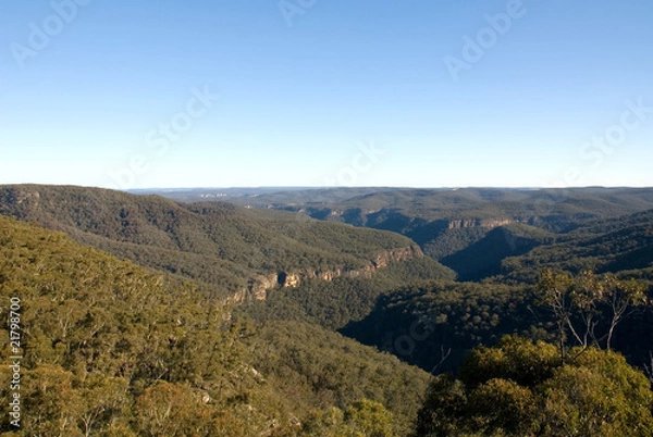 Fototapeta Bundanoon Gully
