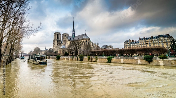 Fototapeta Inondation de la Seine devant Notre Dame